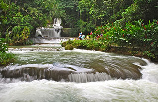 Grand Palladium to YS Falls & Black River Safari Tour (Price is for 1-4 people)